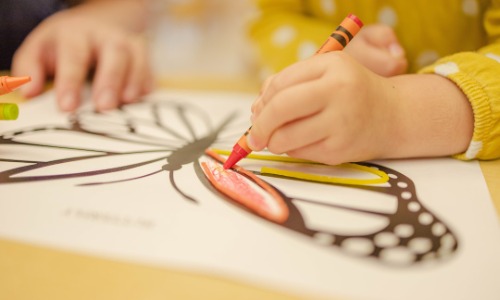 Young child coloring a butterfly