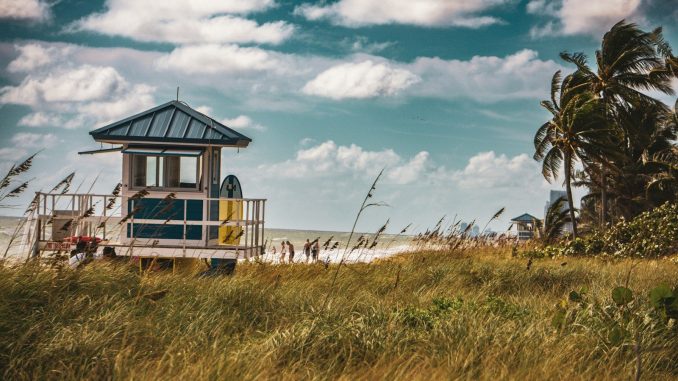 A lifeguard tower on a beach with palm trees